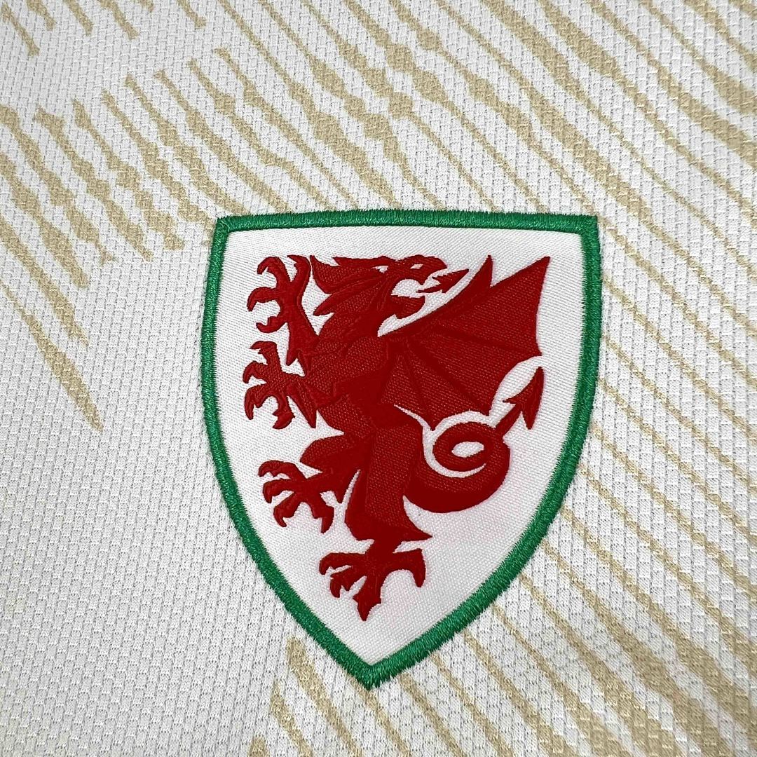 Camisa Seleção País de Gales Away 2025/26 2