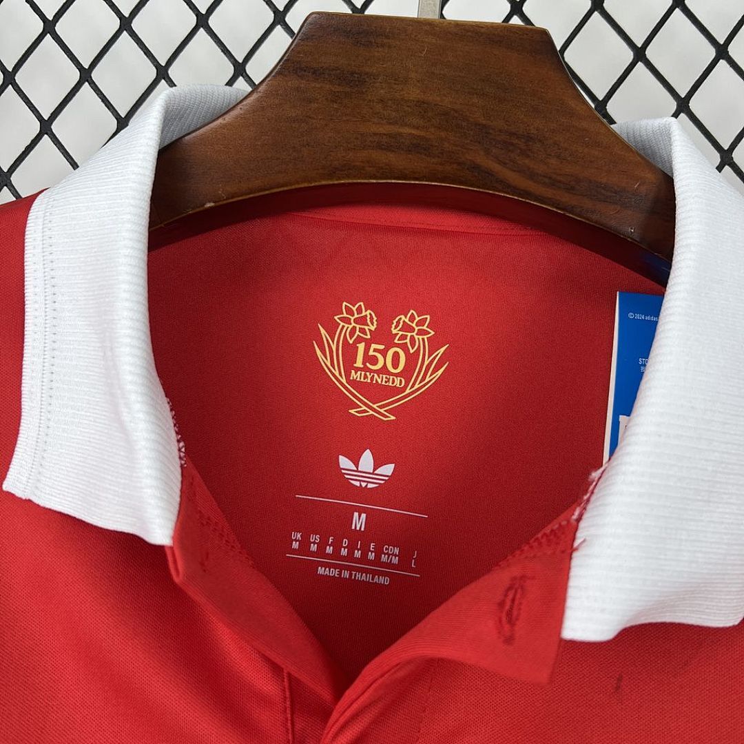 Camisa Seleção País de Gales Edição Especial 2025/26 3