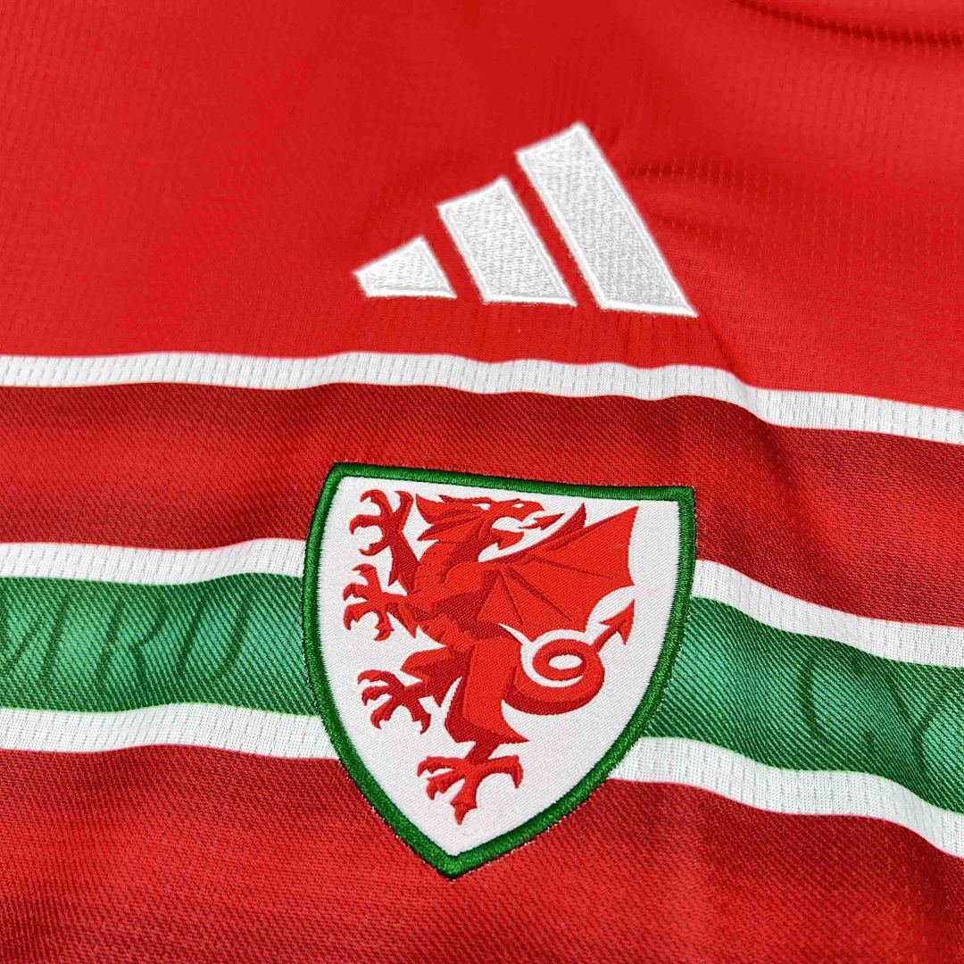 Camisa Seleção País de Gales Home 2025/26 3