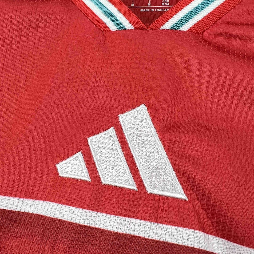 Camisa Seleção País de Gales Home 2025/26 4